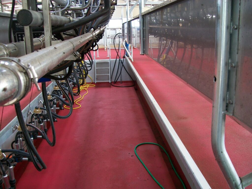 Resina antiscivolo sala mungitura